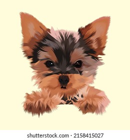 Pet vector design with butter color Background