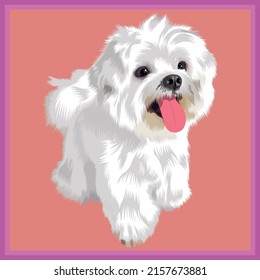 Pet vector design with color background