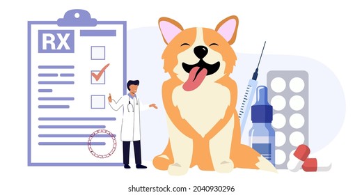 Pet vet veterinary doctor animal clinic Dog pills flat icon Veterinary hospital services and domestic animals hotels Dogs grooming and health check center Vet clinic Pet services sitters metaphors