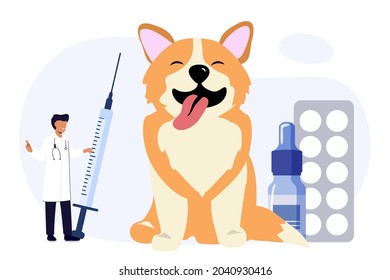 Pet vet veterinary doctor animal clinic Dog pills flat icon Veterinary hospital services and domestic animals hotels Dogs grooming and health check center Vet clinic Pet services sitters metaphors