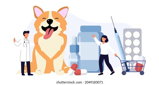 Pet vet veterinary doctor animal clinic Dog pills flat icon Veterinary hospital services and domestic animals hotels Dogs grooming and health check center Vet clinic Pet services sitters metaphors