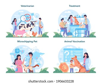 Pet veterinarian concept set. Veterinary doctor checking and treating animal. Idea of pet care, animal medical vaccination, microchipping. Vector flat illustration