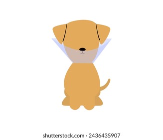 Pet veterinarian icon element. Dog in pet cone. Idea of pet care. Animal medical treatment. Vet and pet vector flat illustration.