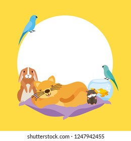 pet and veterinary