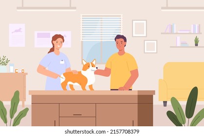 Pet veterinary clinic. Veterinarian doctor making an injection to dog. Owner taking pet to vet clinic. Woman taking care of animal, examining puppy. Corgi vaccination in hospital vector