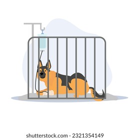 pet and veterinary concept. Sick dog has an Infusion therapy laying in cage. a dog giving a drip . Flat vector cartoon illustration