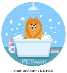 Pet Wash. Dog wash, pet health care solution. flat logo design template colorful.
