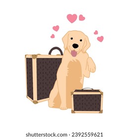 Pet Yellow Lab Ready For Adoption Or Fostering, Choosing A New Pet