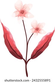 petal, botanical, lily, blooming, bouquet, illustration, isolated, poppy, amarylli, red, nature, flower