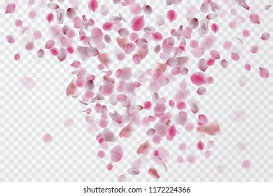 Petal falling background. Vector stock.