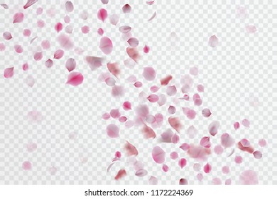 Petal falling background. Vector stock.