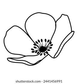 petal flower sakura cherry blossom line art vector outline illustration