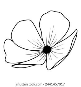 petal flower sakura cherry blossom line art vector outline illustration
