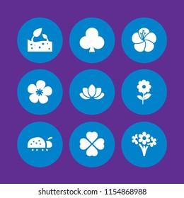 petal icon. 9 petal set with flower, ladybug, bud and spring vector icons for web and mobile app