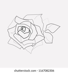 Petal icon line element. Vector illustration of petal icon line isolated on clean background for your web mobile app logo design.