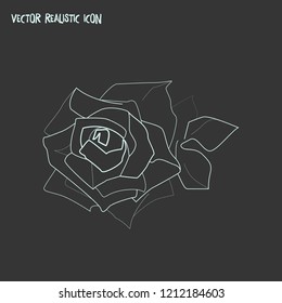 Petal icon line element. Vector illustration of petal icon line isolated on clean background for your web mobile app logo design.