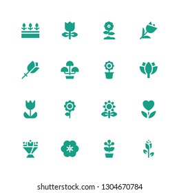 petal icon set. Collection of 16 filled petal icons included Rose, Flower pot, Flower, Flower bouquet, Tulip, Lotus, Flowers