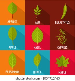 Petal icons set. flat set of 9 petal vector icons for web isolated on white background