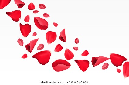 Petals Vector Art & Graphics