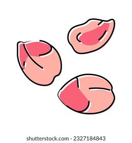 vector de icono de color de resorte pétalo. signo de resorte pétalo. ilustración de símbolo aislado