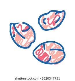 petal spring doodle icon sketch vector. petal spring sign. isolated symbol illustration
