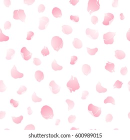 Petals Apple flowers, hand drawn isolated on white background, seamless vector floral pattern Vector template