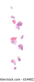 Petals design. Flower background. Petals Roses Flowers. Purple Violet Sakura flying petals isolated on white background. Vector EPS 10, cmyk.