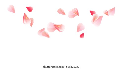 Petals design. Flower background. Petals Roses Flowers. Pink Sakura flying petals isolated on white background. Vector EPS 10, cmyk