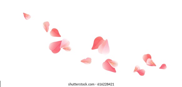 Petals design. Flower background. Petals Roses Flowers. Pink Sakura flying petals isolated on white background. Vector EPS 10, cmyk