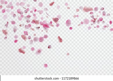 Petals falling background. Vector stock.