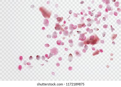 Petals falling background. Vector stock.