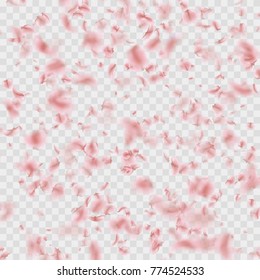 Petals falling confetti effect isolated on transparent. And also includes EPS 10 vector