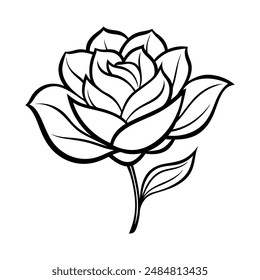 Petals flower isolated vector art illustration