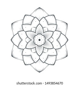 Petals flower mandala line art lace on white background. Vector illustration