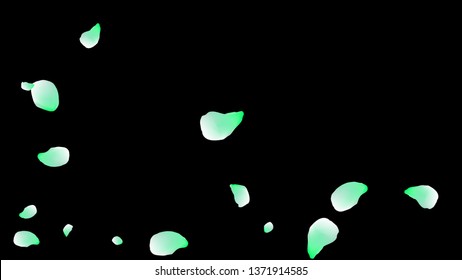 Petals of flowers. Blue flying petals. Flower design. Spring pattern. Delicate style.

