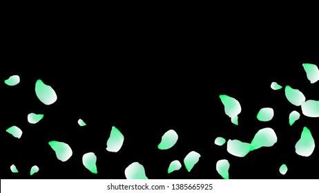 Petals of flowers. Blue flying petals. Flower design. Spring pattern. Delicate style.
