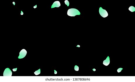 Petals of flowers. Blue flying petals. Flower design. Spring pattern. Delicate style.
