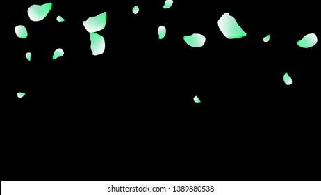 Petals of flowers. Blue flying petals. Flower design. Spring pattern. Delicate style.
