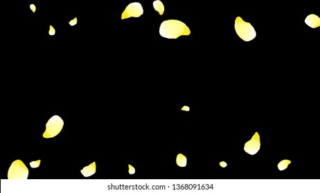 Petals of flowers. Yellow flying petals. Flower design. Spring pattern. Delicate style.

