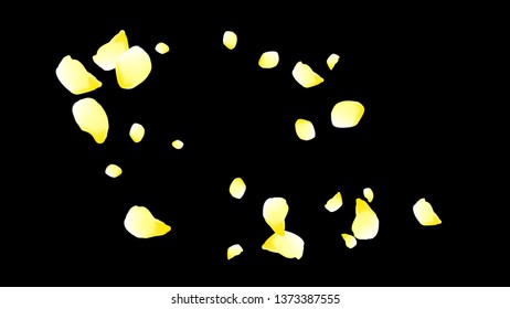 Petals of flowers. Yellow flying petals. Flower design. Spring pattern. Delicate style.
