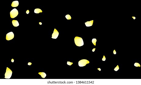 Petals of flowers. Yellow flying petals. Flower design. Spring pattern. Delicate style.
