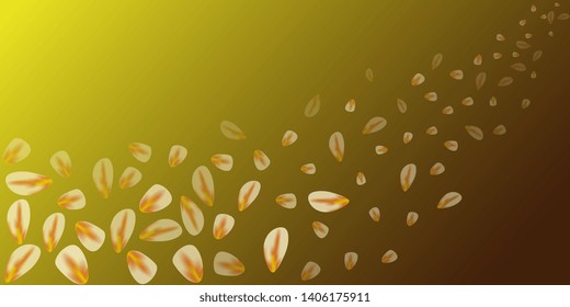 Petals. Flying petals. Bright spring background with colored petals. Simple gentle template for the card, invitation, printing. Fashionable decoration with beautiful petals. Abstract background
