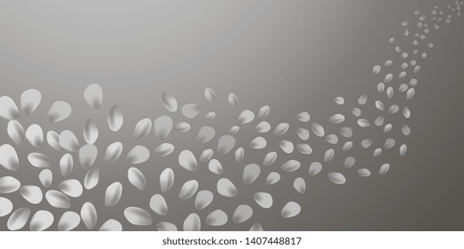 Petals. Flying petals. Bright spring background with colored petals. Simple gentle template for the card, invitation, printing. Fashionable decoration with beautiful petals. Abstract background