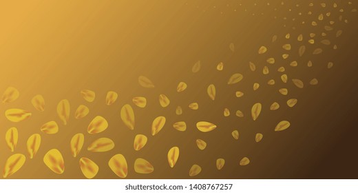 Petals. Flying petals. Bright spring background with colored petals. Simple gentle template for the card, invitation, printing. Fashionable decoration with beautiful petals. Abstract background