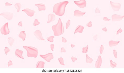 Petals flying. Spring blossom. May flowers and April floral nature on pink background. Branches of blossoming apricot macro with soft focus. For easter and spring greeting cards with copy space.