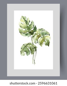 Petals of monstera houseplant growing in hot climates on wall art. Watercolor artwork. Print with tropical houseplant monstera creating heavenly atmosphere at home, in frame with decor for poster