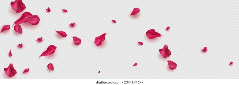 Petals of pink flower, rose or sakura on transparent background. Vector illustration. Pink petal of apple or cherry blossom, sakura flower