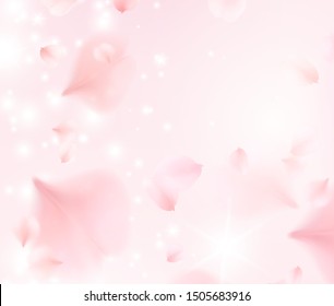 Petals of pink rose spa background. Realistic flying sakura cherry flower petals elements for romantic banner design.
