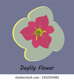Petals of purple daylilies with green pistils on gray border on blue background