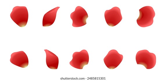 petals of red rose set vector illustration isolated on white background.